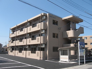 Ｙ＆Ｍアカシア